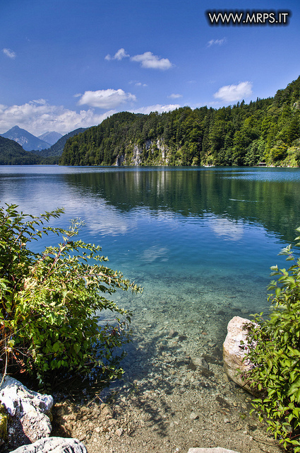 Alpsee 