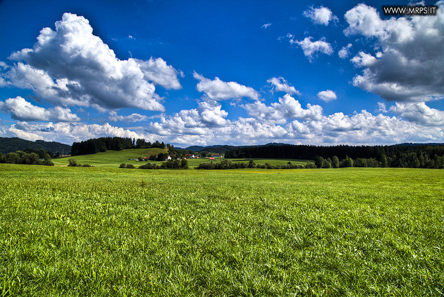 German Landscape