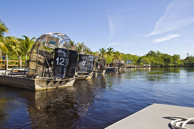 Visiting the Everglades 