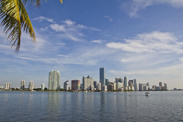 Miami skyline 