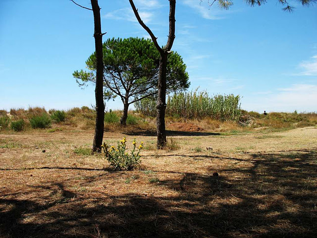 Spiagge Francesi (2/4) 