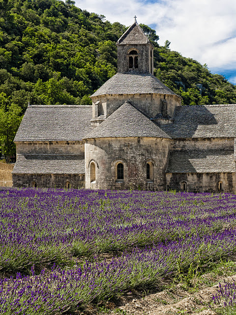 Abbaye Notre-Dame de Sénanque (3/9) 