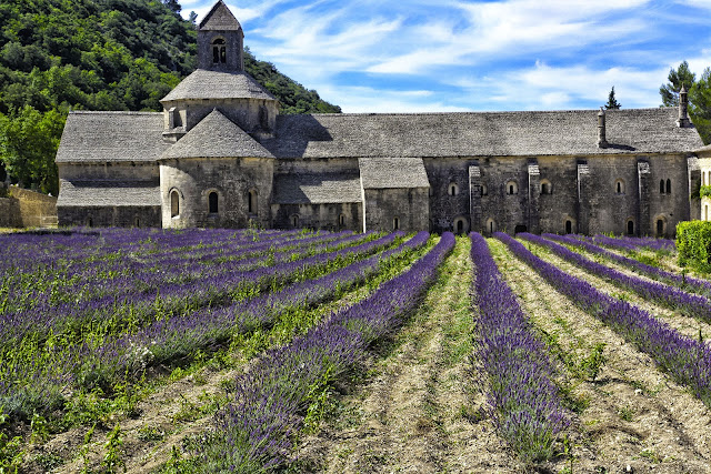 Abbaye Notre-Dame de Sénanque (9/9) 