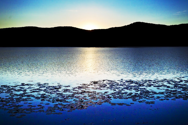 Quel ramo del lago di Comabbio... (7/16) 