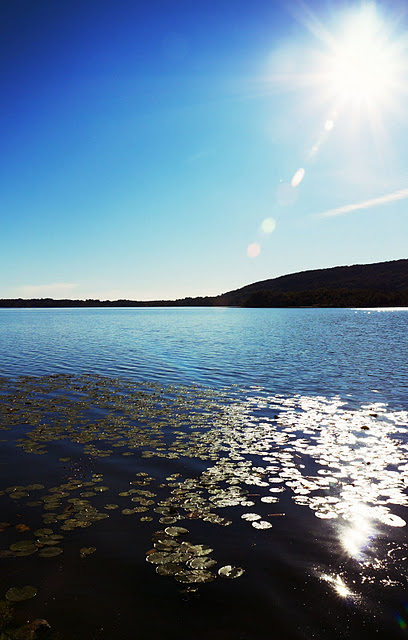 Quel ramo del lago di Comabbio... (9/16) 