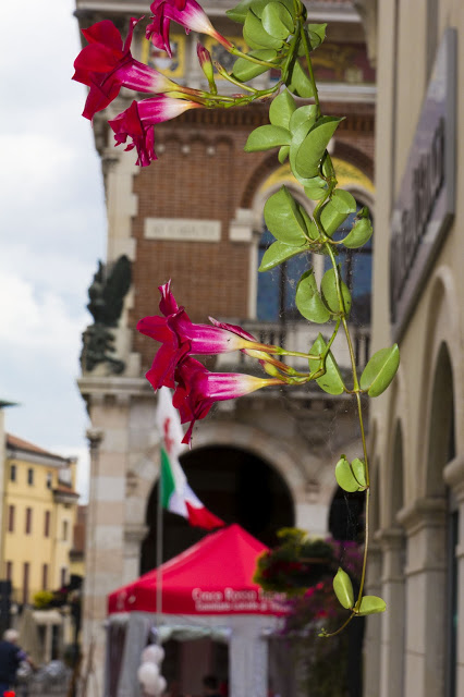 In giro per Thiene (5/20)