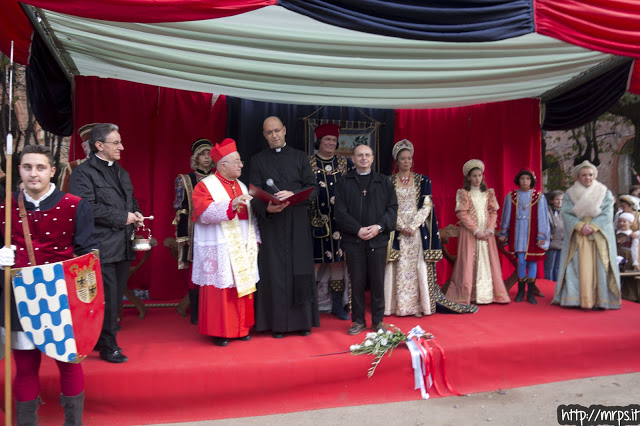 Palio delle Contrade di Vigevano 2012 (6/52) 