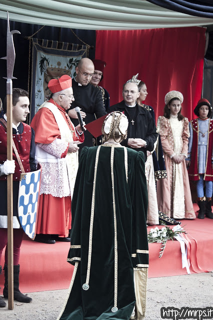 Palio delle Contrade di Vigevano 2012 (45/52) 