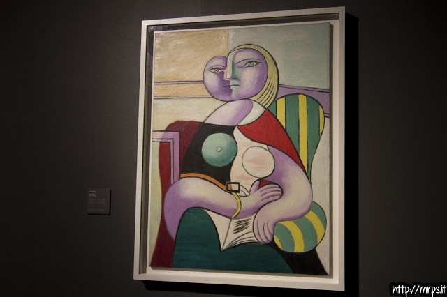 PICASSO Capolavori dal Museo Nazionale Picasso di Parigi (14/93) 