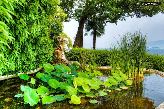 Flora e Fauna a Villa Pallavicino (6/32)