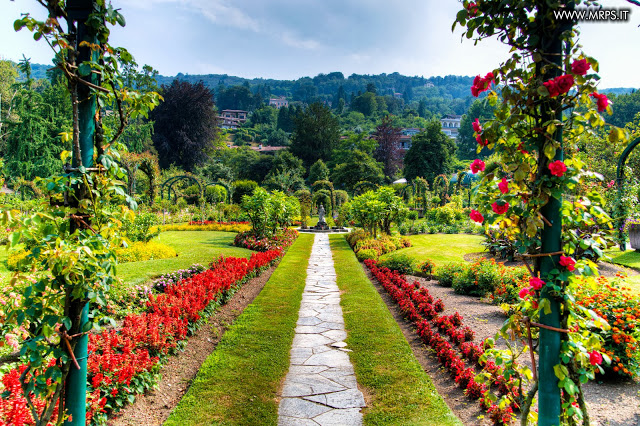 Flora e Fauna a Villa Pallavicino (9/32) 