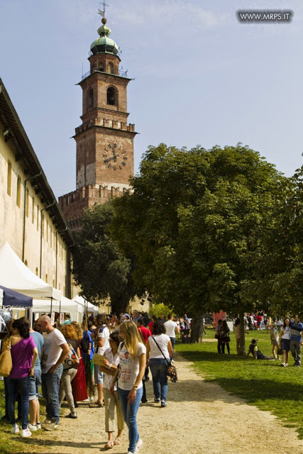 Vigevano Medieval Comics 2014 (9/67) 