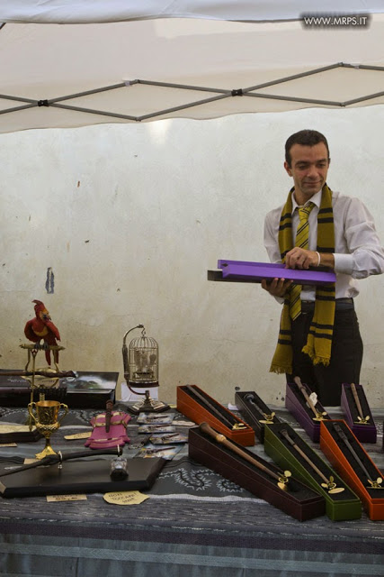 Vigevano Medieval Comics 2014 (11/67)