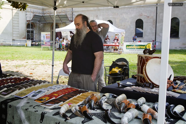 Vigevano Medieval Comics 2014 (13/67) 