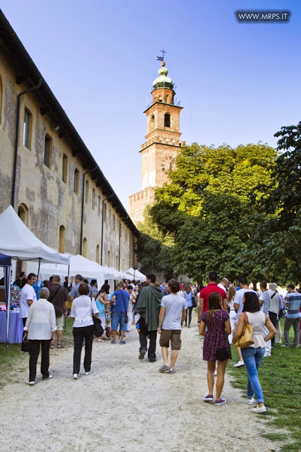 Vigevano Medieval Comics 2014 (65/67) 