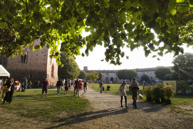 Vigevano Medieval Comics 2014 (67/67) 