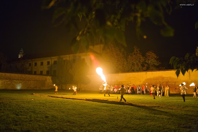 Vigevano Palio delle Contrade 2014 (47/151) 