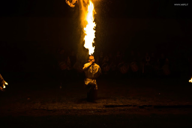 Vigevano Palio delle Contrade 2014 (49/151) 