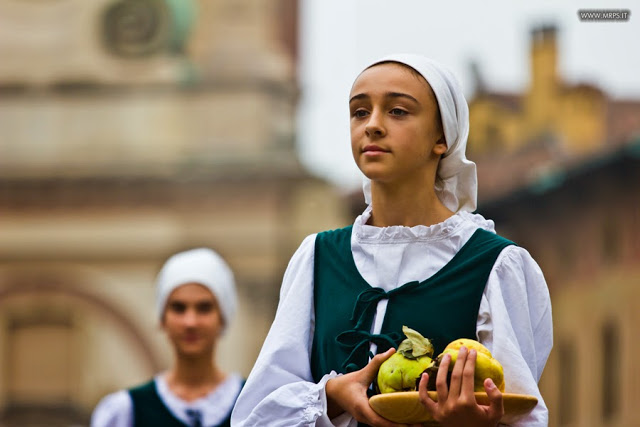 Vigevano Palio delle Contrade 2014 (82/151) 