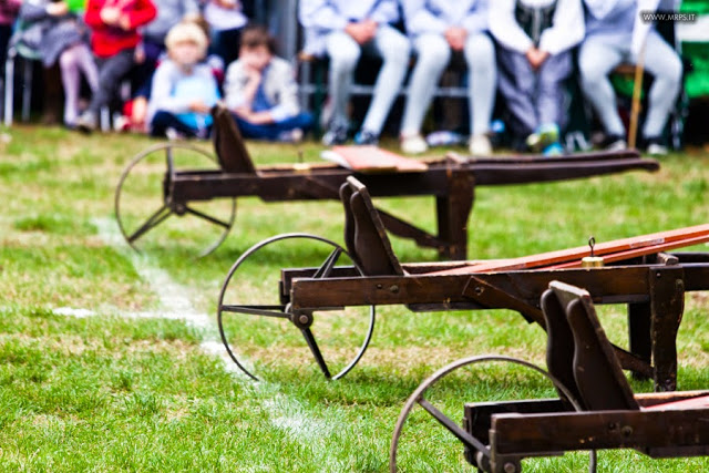 Vigevano Palio delle Contrade 2014 (124/151) 