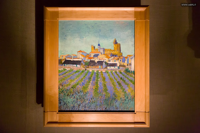 Vincent Van Gogh "L’uomo e la terra" (13/27) 