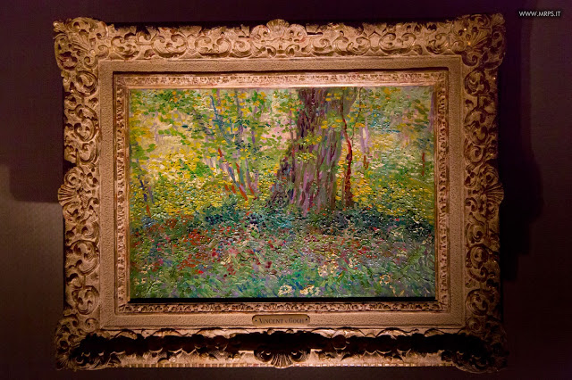 Vincent Van Gogh "L’uomo e la terra" (14/27)