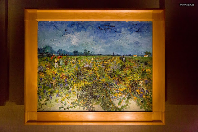 Vincent Van Gogh "L’uomo e la terra" (16/27) 