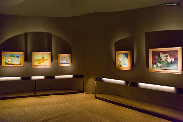 Vincent Van Gogh "L’uomo e la terra" (17/27)