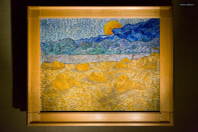 Vincent Van Gogh "L’uomo e la terra" (18/27) 