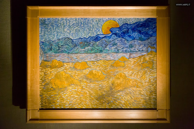 Vincent Van Gogh "L’uomo e la terra" (18/27)