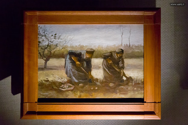Vincent Van Gogh "L’uomo e la terra" (19/27)