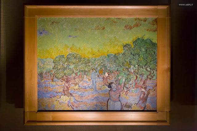 Vincent Van Gogh "L’uomo e la terra" (20/27) 