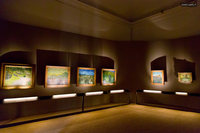 Vincent Van Gogh "L’uomo e la terra" (21/27)