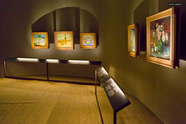 Vincent Van Gogh "L’uomo e la terra" (24/27) 