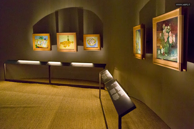 Vincent Van Gogh "L’uomo e la terra" (24/27)