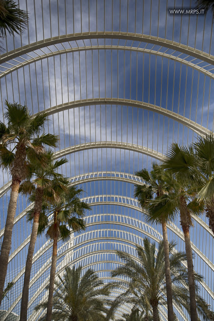 Valencia - June 2015 (4/50)