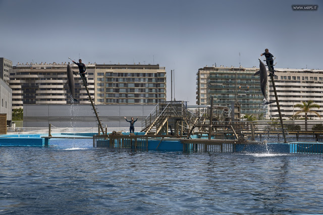 Valencia - June 2015 (8/50)