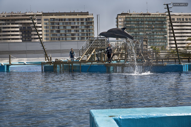 Valencia - June 2015 (28/50) 