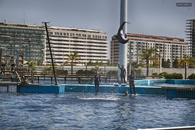 Valencia - June 2015 (36/50)