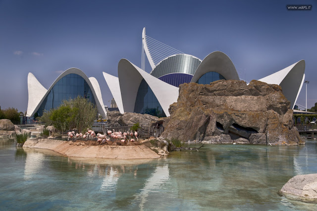 Valencia - June 2015 (43/50)