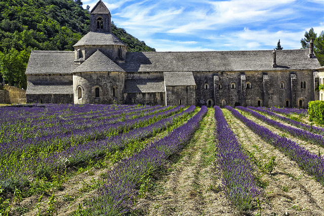 L'abbazia di Sénanque 