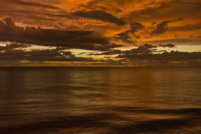 Florida 2015 (16/81) 