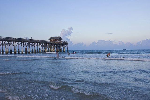 Florida 2015 (45/81) 