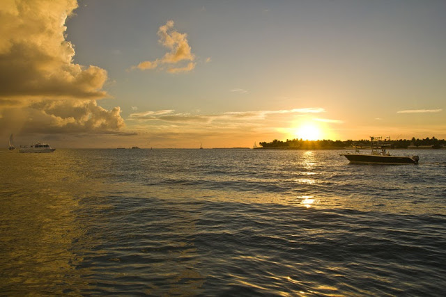 Florida 2015 (63/81) 