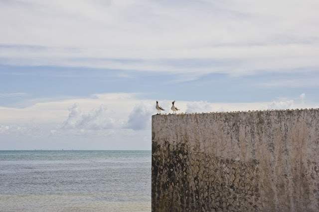Florida 2015 (66/81) 