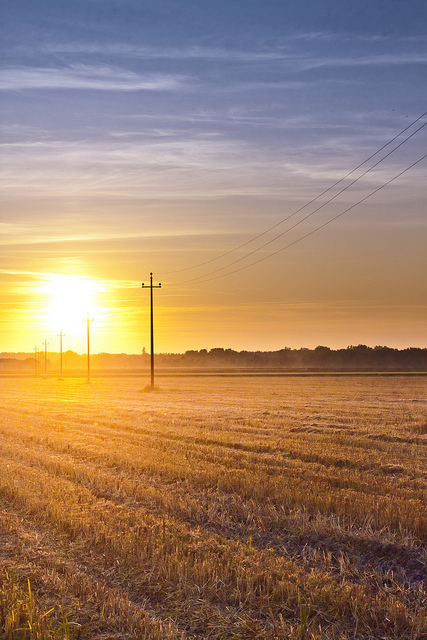 Tramonto Pavese #campi #campagna #color #landscape #sunset #cielo #colore #countryside #pavia #sun #sky #colori #tramonto #grano #sole #light #paesaggio #pavese #colors